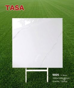 Gạch 100x100 Tasa 9805 men bóng
