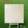 Gạch 100x100 Tasa 9806 men bóng