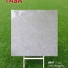 Gạch 100x100 Tasa 9807 men bóng