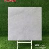Gạch 100x100 Tasa 9808 men bóng