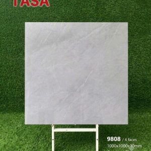 Gạch 100x100 Tasa 9808 men bóng