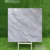 Gạch 100x100 Tasa 9841 men bóng