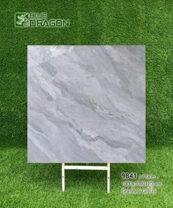 Gạch 100x100 Tasa 9841 men bóng