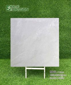Gạch 100x100 Tasa 9842 men bóng