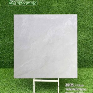 Gạch 100x100 Tasa 9842 men bóng