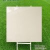 Gạch 100x100 Tasa 9843 men bóng