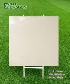 Gạch 100x100 Tasa 9843 men bóng
