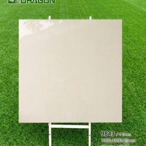 Gạch 100x100 Tasa 9843 men bóng