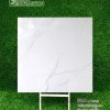 Gạch 100x100 Tasa 9844 men bóng
