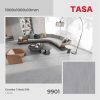 Gạch 100x100 Tasa 9901 menmatt