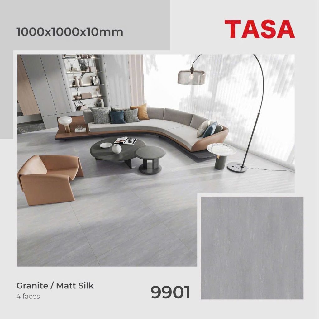Gạch 100x100 Tasa 9901 menmatt