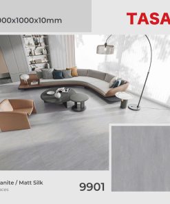 Gạch 100x100 Tasa 9901 menmatt