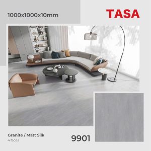 Gạch 100x100 Tasa 9901 menmatt