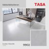 Gạch 100x100 Tasa 9902 menmatt