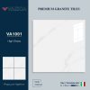Gạch 100x100 VAZICA mã VA1001 Men Siêu Bóng