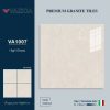 Gạch 100x100 VAZICA mã VA1007 Men Siêu Bóng