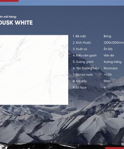 Gạch 120x120 Ấn Độ Novocera mã DUSK WHITE Men Bóng