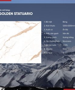 Gạch 120x120 Ấn Độ Novocera mã GOLDEN STATUARIO Men Bóng