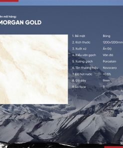 Gạch 120x120 Ấn Độ Novocera mã MORGAN GOLD Men Bóng