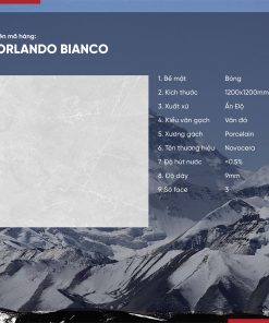 Gạch 120x120 Ấn Độ Novocera mã ORLANDO BIANCO Men Bóng