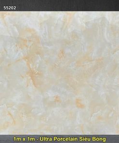 Gạch 1m x 1m Hoàn Mỹ Perfetto 55202