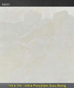 Gạch 1m x 1m Hoàn Mỹ Perfetto 55511