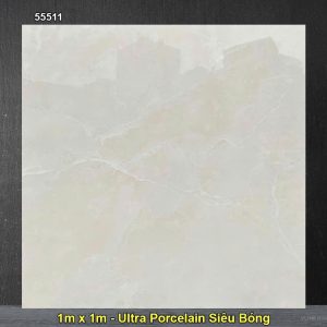 Gạch 1m x 1m Hoàn Mỹ Perfetto 55511