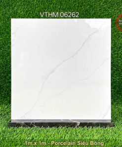 Gạch 1m x 1m VTHM 06262