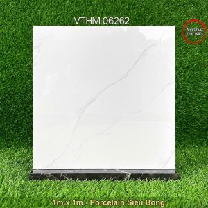 Gạch 1m x 1m VTHM 06262