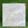 Gạch 1m x 1m VTHM 06265