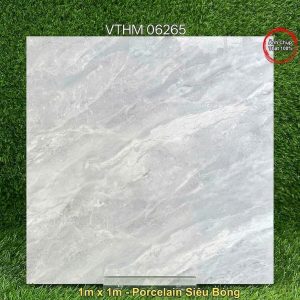 Gạch 1m x 1m VTHM 06265