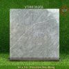 Gạch 1m x 1m VTHM 06268