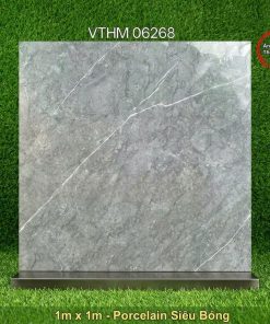 Gạch 1m x 1m VTHM 06268