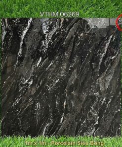 Gạch 1m x 1m VTHM 06269