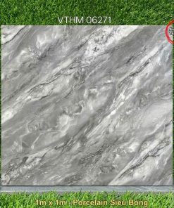 Gạch 1m x 1m VTHM 06271