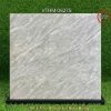 Gạch 1m x 1m VTHM 06275
