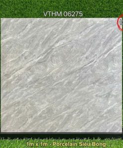 Gạch 1m x 1m VTHM 06275