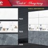 Gạch 30x60 Tasa 7004 Men bóng