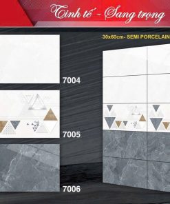 Gạch 30x60 Tasa 7004 Men bóng