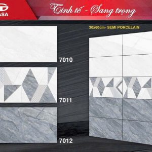 Gạch 30x60 Tasa 7010 Men bóng