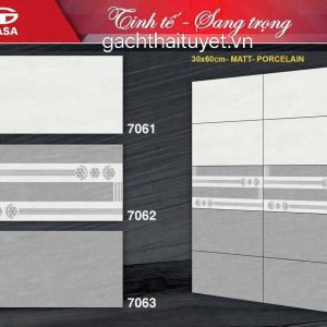 Gạch 30x60 Tasa 7061 Men matt