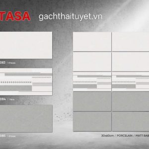 Gạch 30x60 Tasa 7083 Men matt