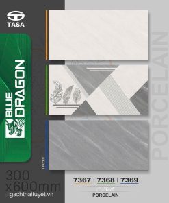 Gạch 30x60 Tasa 7367 Men matt
