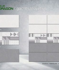 Gạch 30x60 Tasa 7373 Men matt