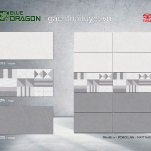 Gạch 30x60 Tasa 7373 Men matt