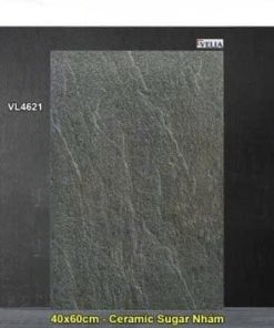 Gạch 40x60 NPG VL4621 Lát Sân