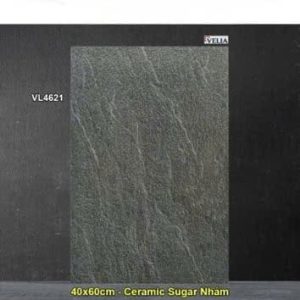 Gạch 40x60 NPG VL4621 Lát Sân