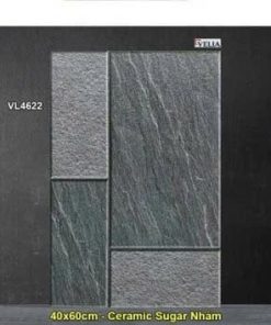 Gạch 40x60 NPG VL4622 Lát Sân