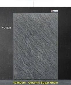 Gạch 40x60 NPG VL4623 Lát Sân