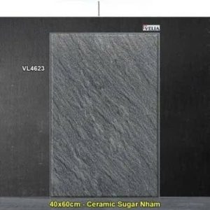 Gạch 40x60 NPG VL4623 Lát Sân
